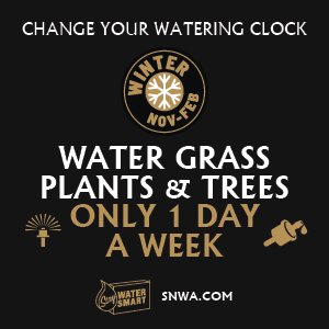 Water Grass 3 Days a Week. Water Plants & Trees 2 Days a Week.